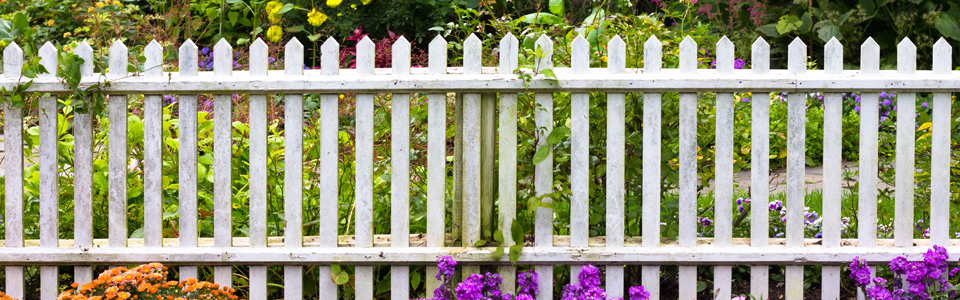 Fences Regina - Pressure Treated Fence Slider Image